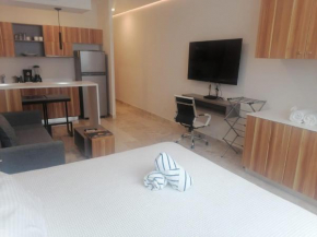 Increíble estudio con alberca infinita